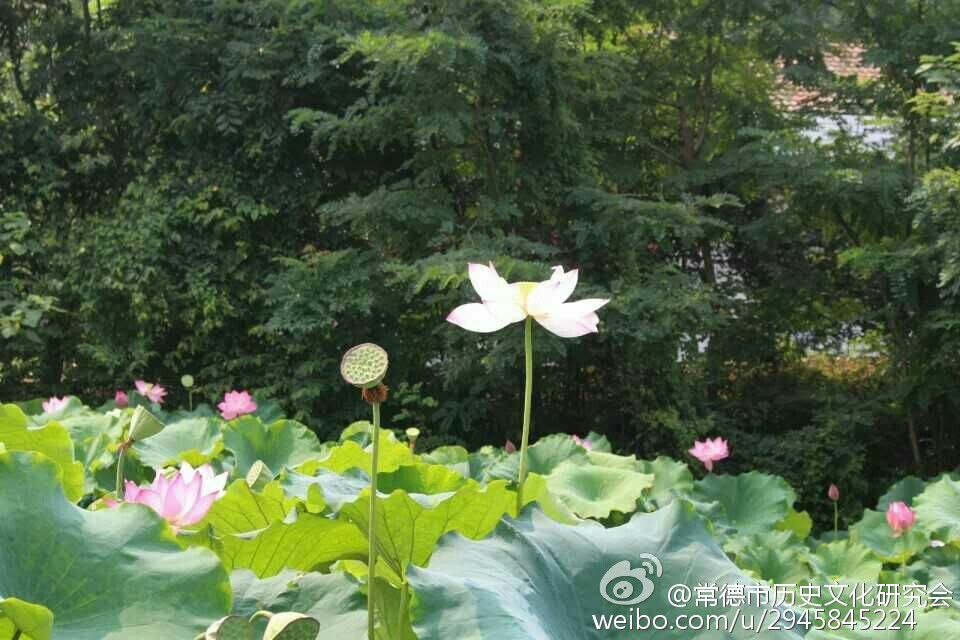 2017，也許做錯(cuò)了一件事