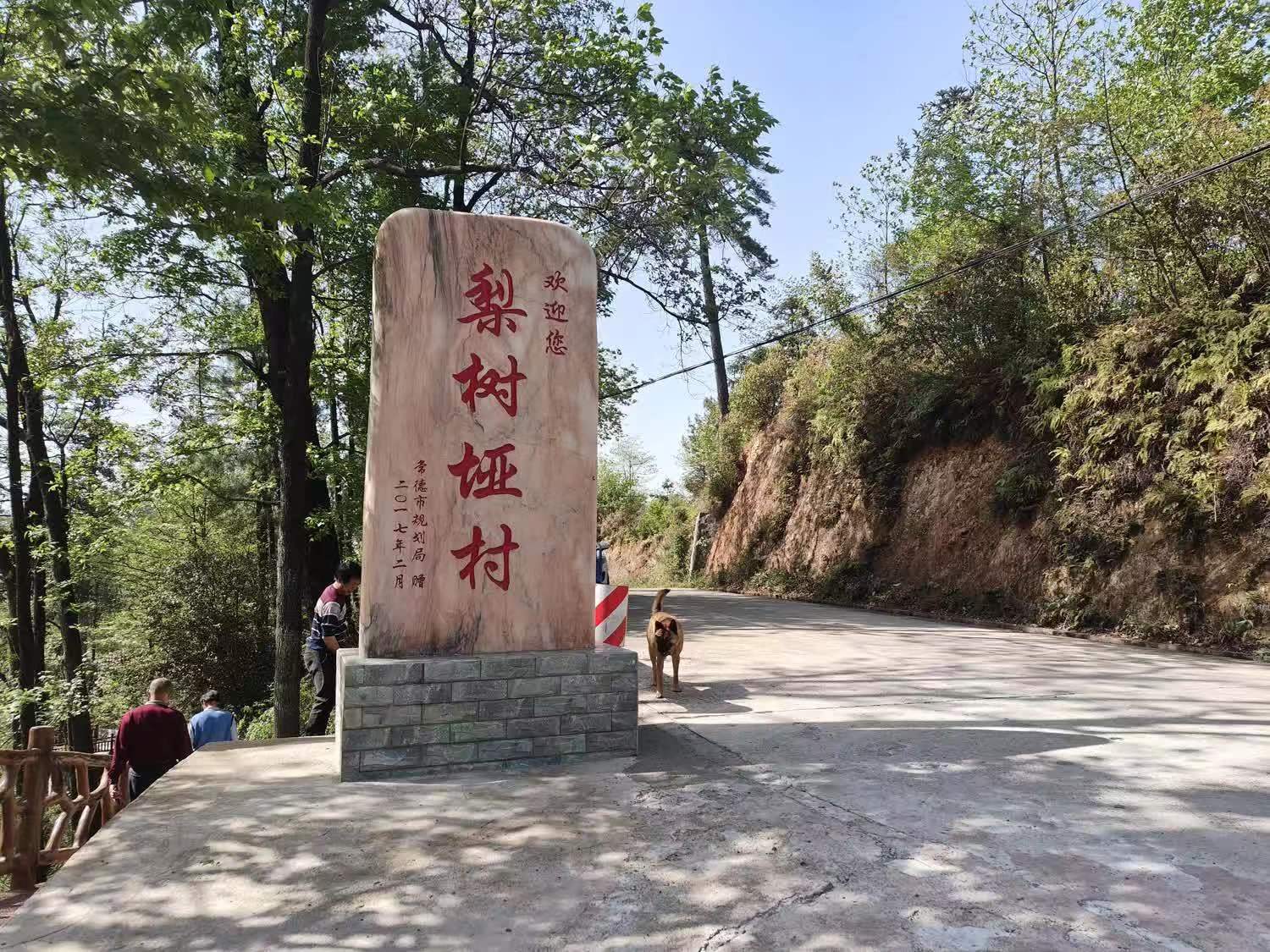梨樹(shù)埡